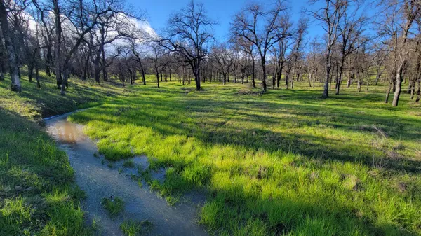 $65,000 | Lot 42 Quail Ridge Road, Cottonwood, CA 96022