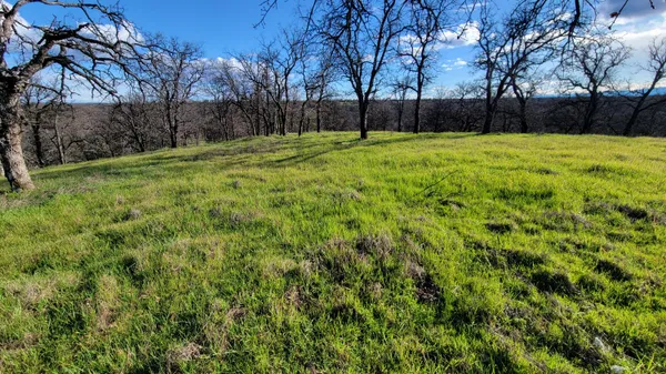 $65,000 | Lot 42 Quail Ridge Road, Cottonwood, CA 96022