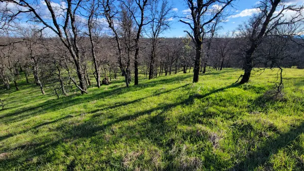 $65,000 | Lot 42 Quail Ridge Road, Cottonwood, CA 96022