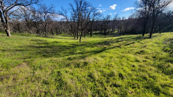 $65,000 | Lot 42 Quail Ridge Road, Cottonwood, CA 96022