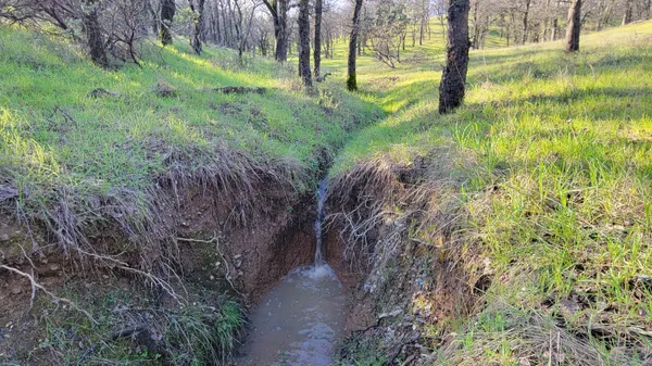 $65,000 | Lot 42 Quail Ridge Road, Cottonwood, CA 96022