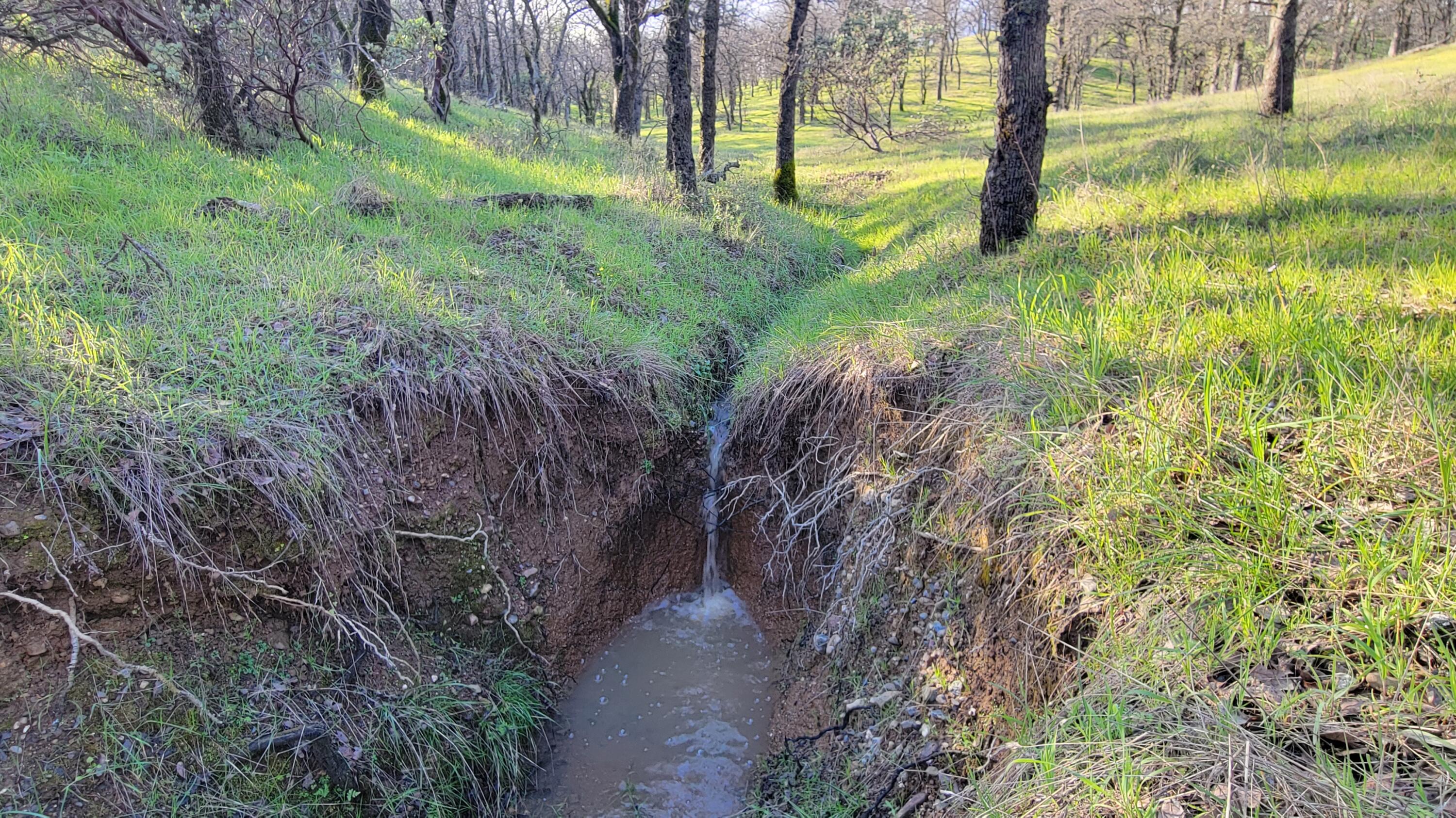 Lot 42 Quail Ridge Road Cottonwood, CA 96022 - Photo 8 of 15 20260219_155007