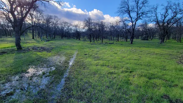 $65,000 | Lot 42 Quail Ridge Road, Cottonwood, CA 96022