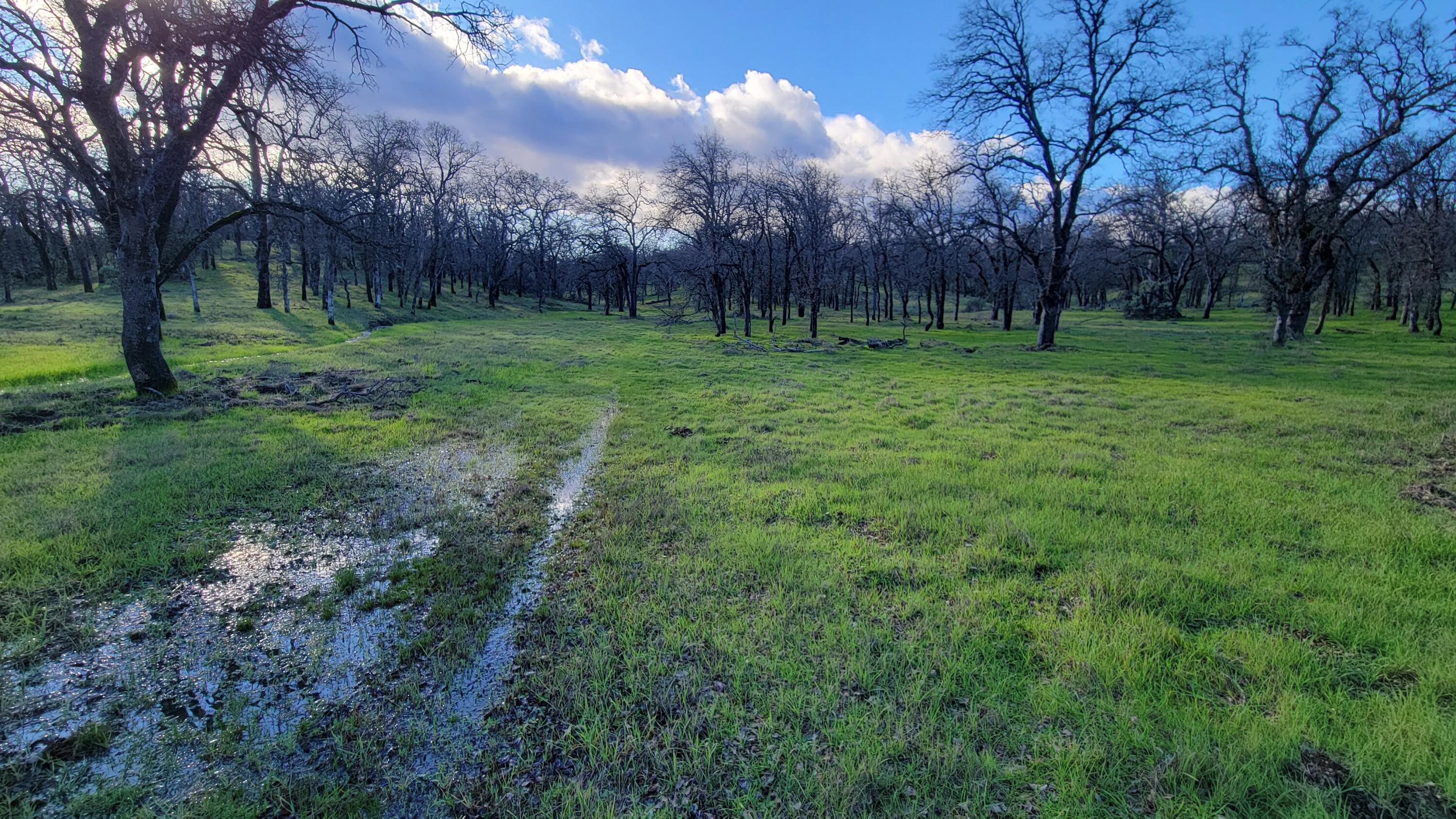 Lot 42 Quail Ridge Road Cottonwood, CA 96022 - Photo 9 of 15 20260219_155212