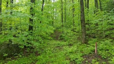 4674 Stage Road Jericho, VT 05465 - Photo 2 of 10