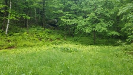 4674 Stage Road Jericho, VT 05465 - Photo 4 of 10
