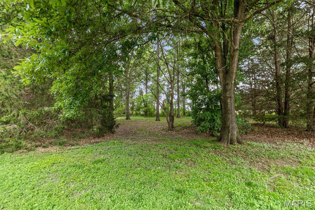 12042 Dutch Ashley, IL 62808 - Photo 4 of 45