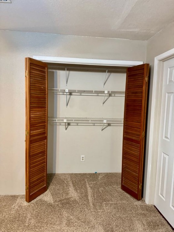 1305 West Villa Maria Road, Unit F105 Bryan, TX 77801 - Photo 14 of 26 View of closet
