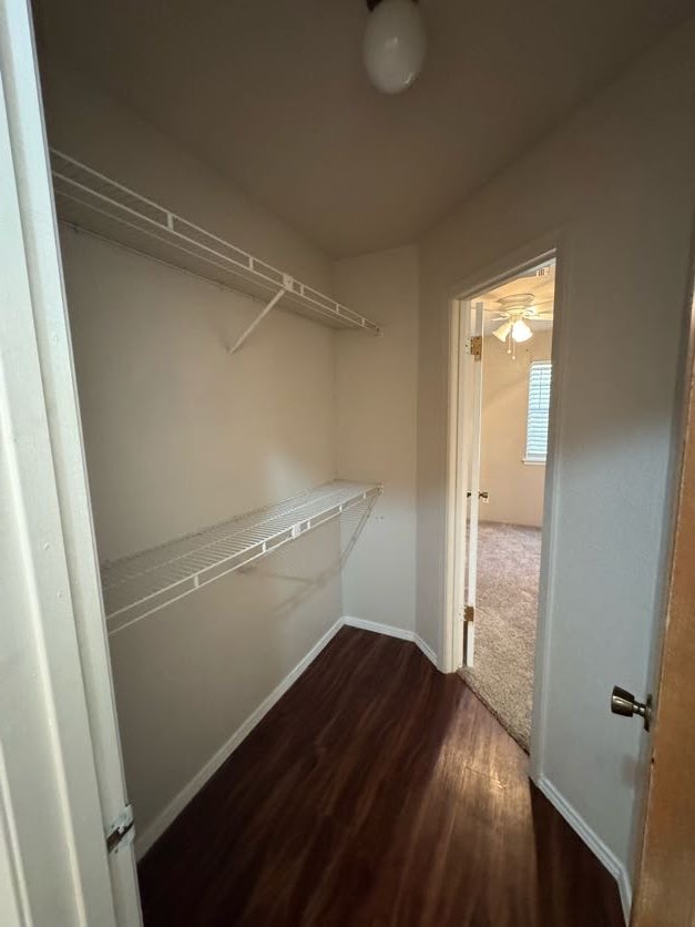 1305 West Villa Maria Road, Unit F105 Bryan, TX 77801 - Photo 21 of 26 a view of walk in closet