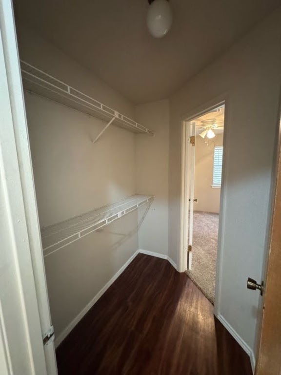 1305 West Villa Maria Road, Unit F105 Bryan, TX 77801 - Photo 21 of 26 Spacious closet featuring dark wood-type flooring