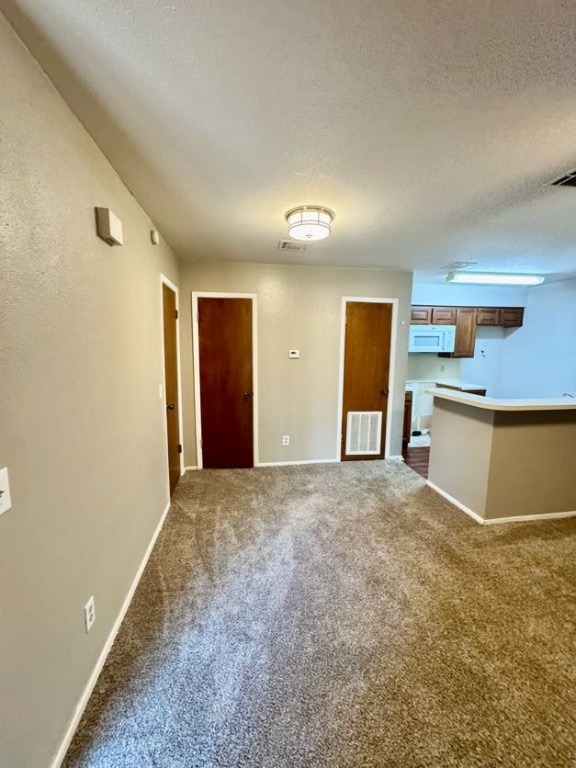 1305 West Villa Maria Road, Unit F105 Bryan, TX 77801 - Photo 5 of 26 Unfurnished living room featuring dark carpet and a textured ceiling