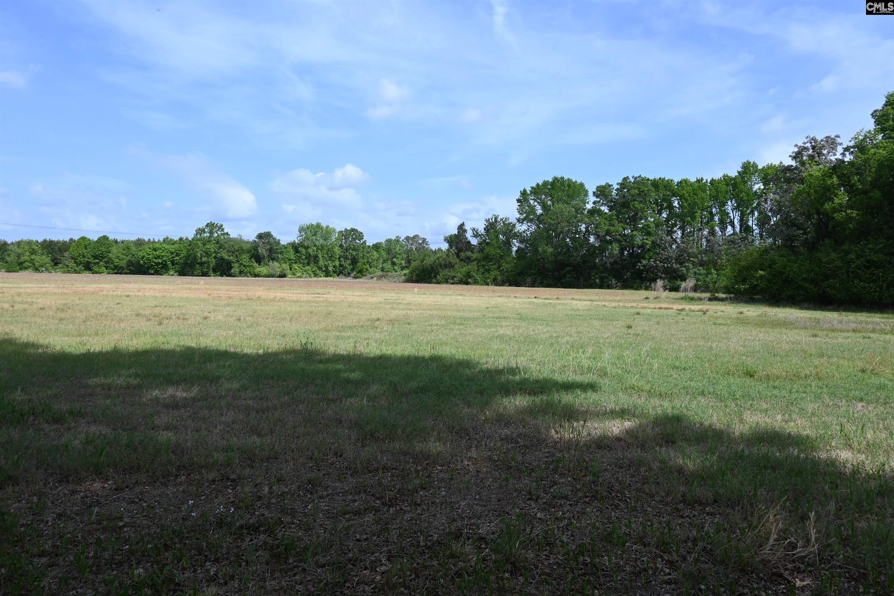 Tbd Gallowaytown Road Hartsville, SC 29550 - Photo 7 of 34