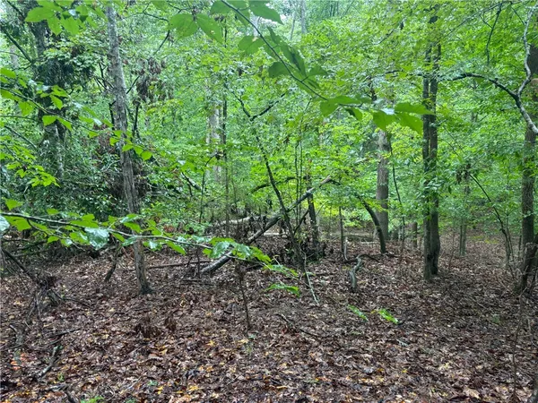$17,000 | 0 Lake Forest Drive, Abbeville, SC 29620