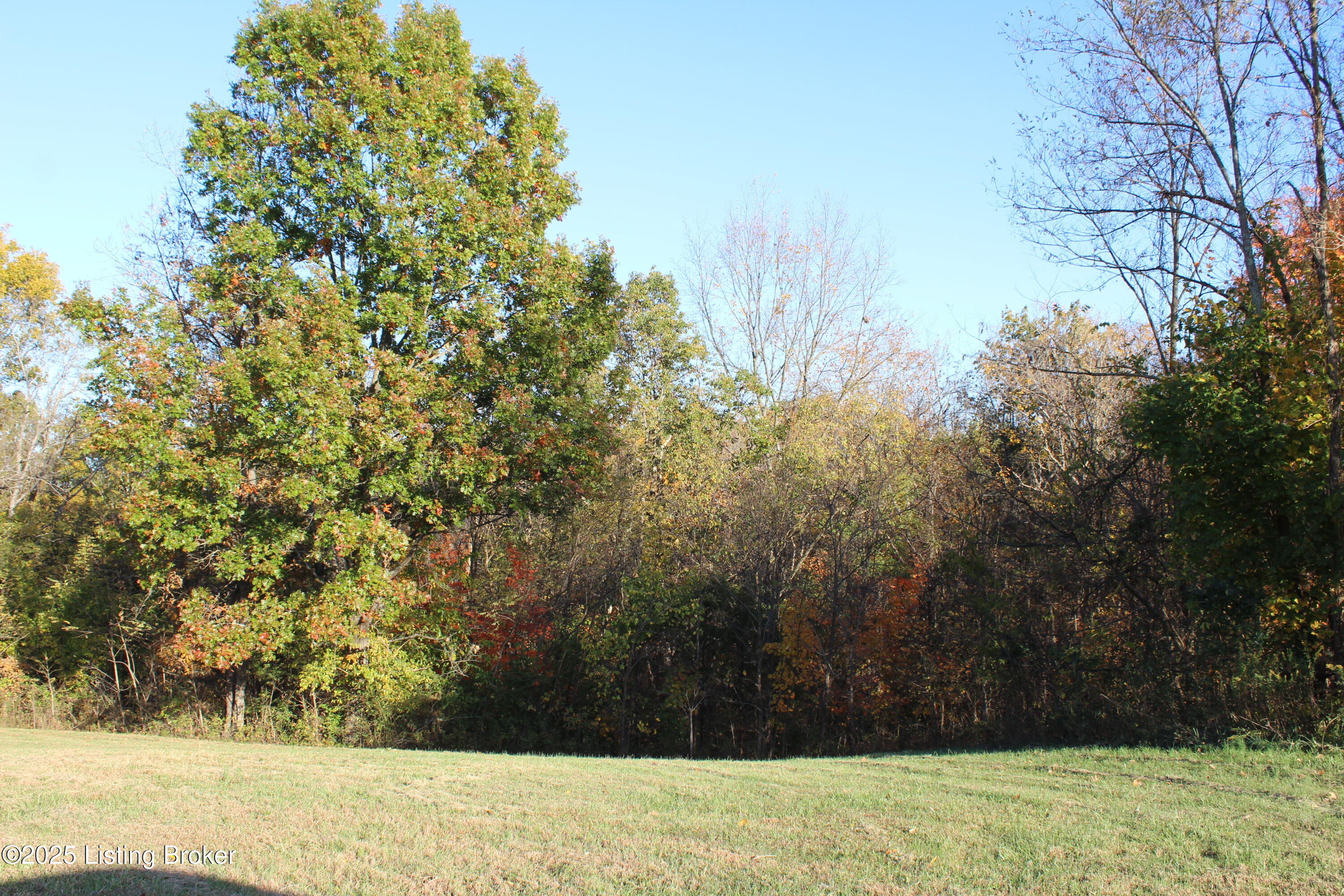 12 Vigo Road Bagdad, KY 40003 - Photo 4 of 25 IMG_1246