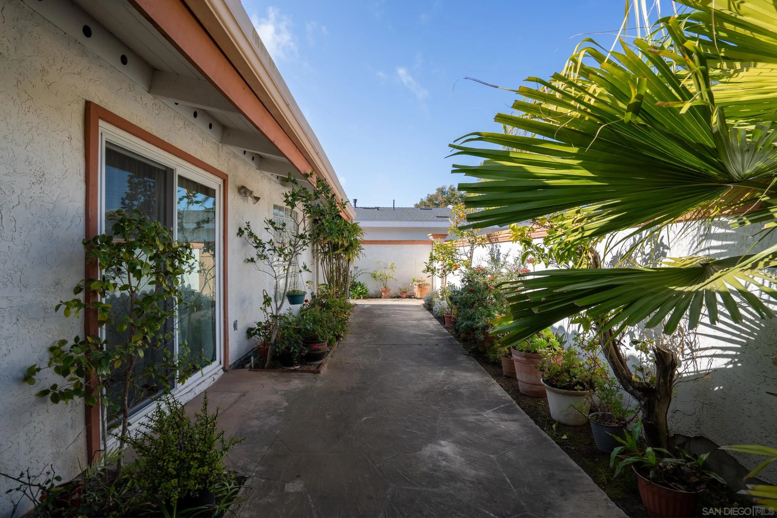 2223 Calle Guaymas La Jolla, CA 92037 - Photo 26 of 32 a view of a potted plants in front of a building