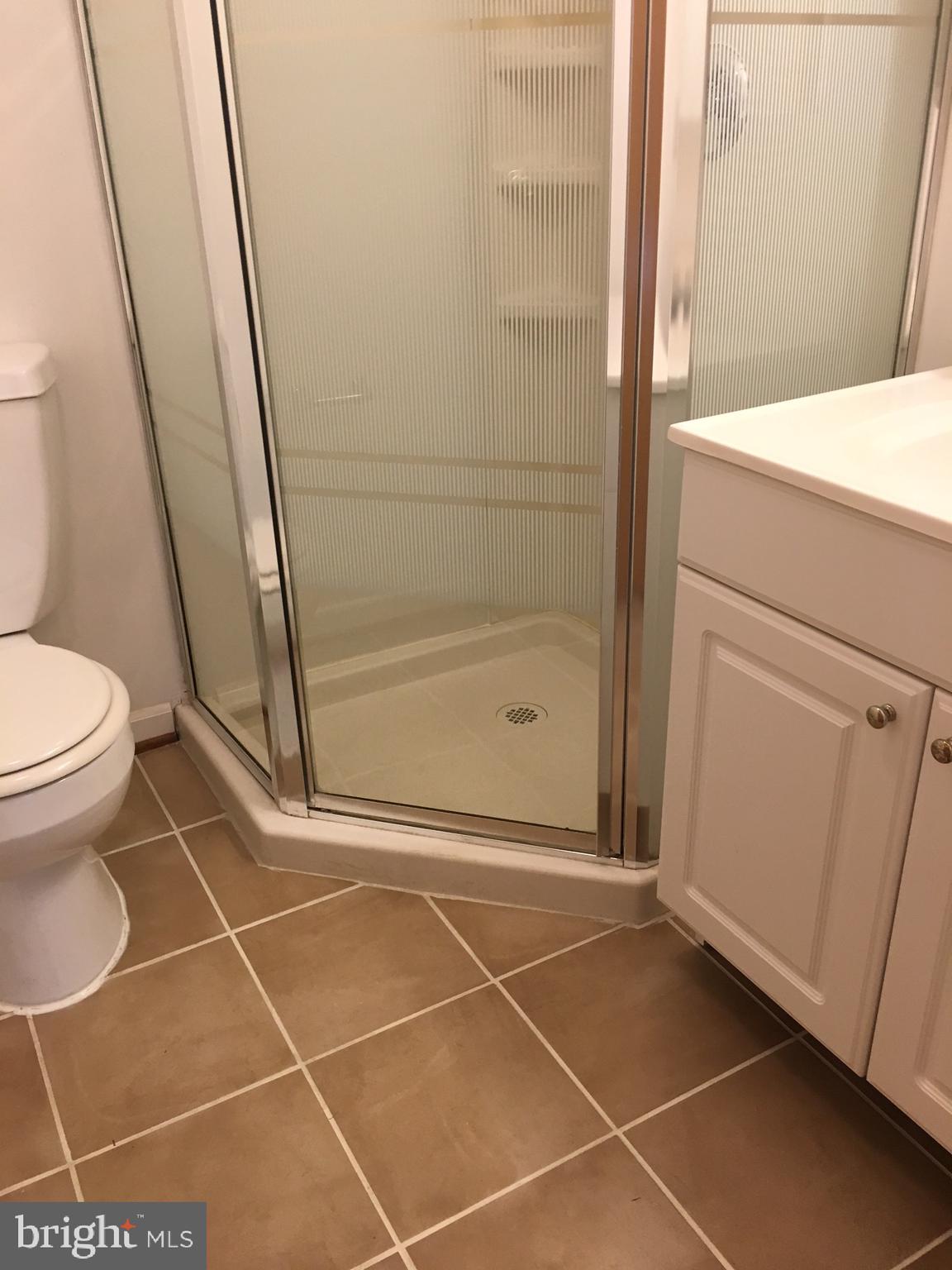 5700 Forest Place Bethesda, MD 20814 - Photo 16 of 20 Lower level full bathroom