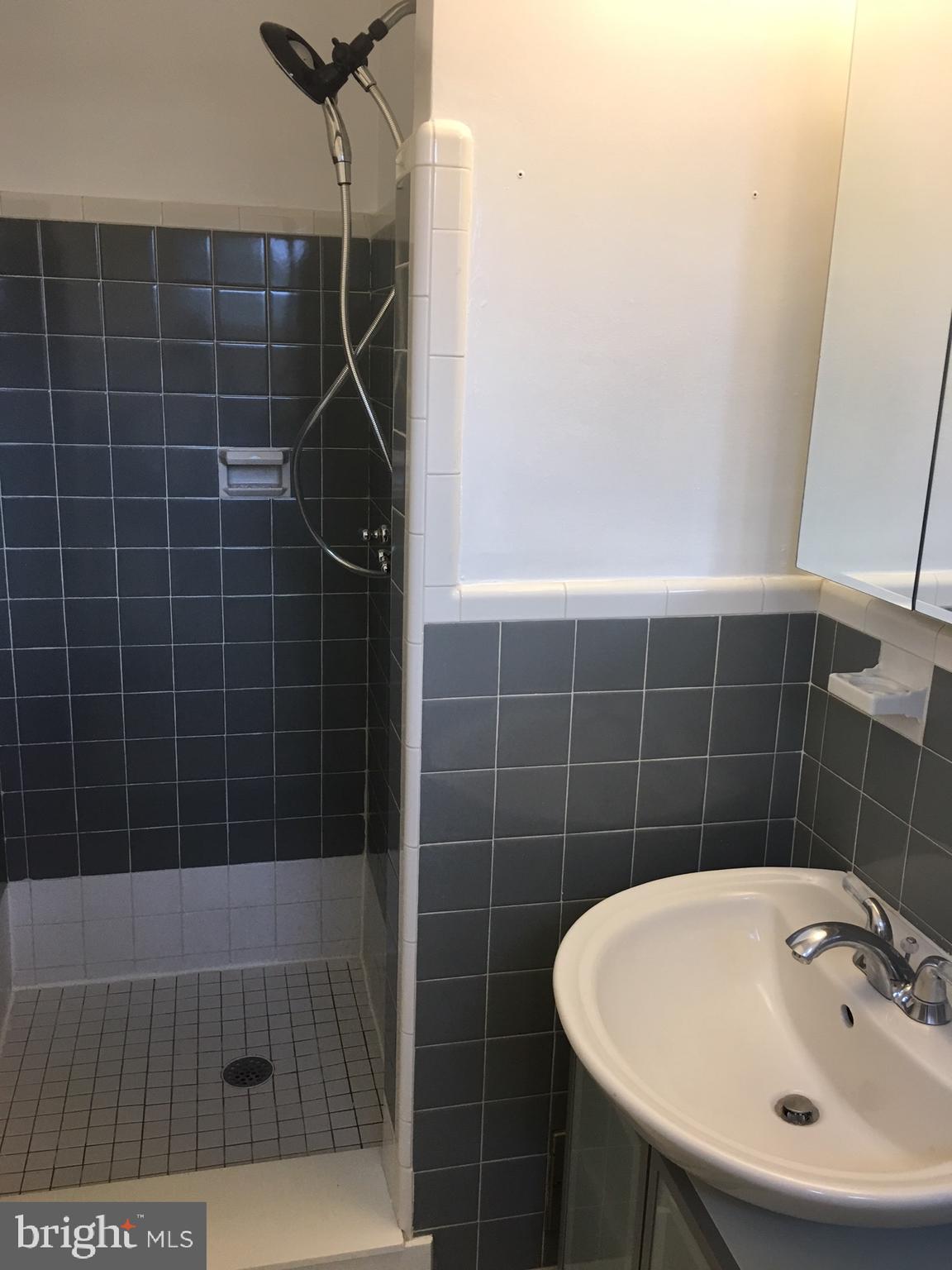 5700 Forest Place Bethesda, MD 20814 - Photo 9 of 20 Master bathroom