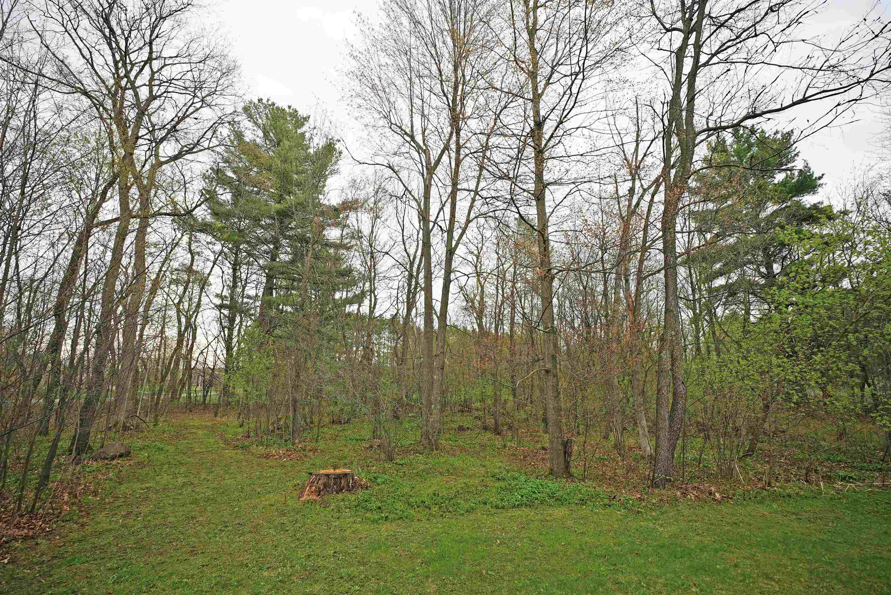 Oak Tree Road, Unit 7 Stevens Point, WI 54482 - Photo 5 of 6