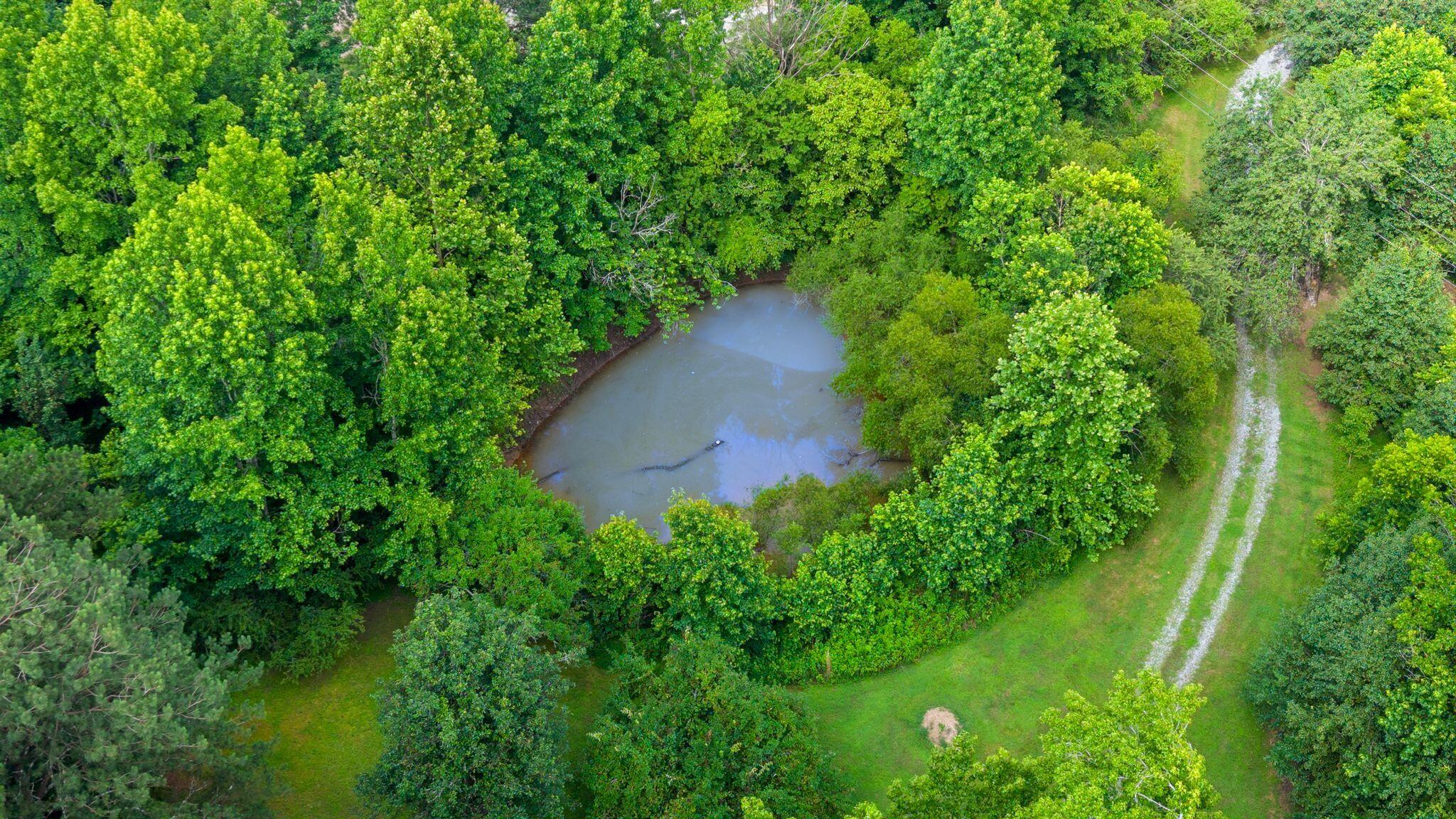 3612 Bill Jones Road Apison, TN 37302 - Photo 6 of 20 19_020