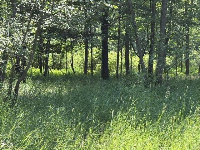 61 Rolling Hills Road West Branch, MI 48661 - Photo 3 of 11 1947956-cddb5191-1da9-4a4b-94bd-02887cd5bf63.JPG
