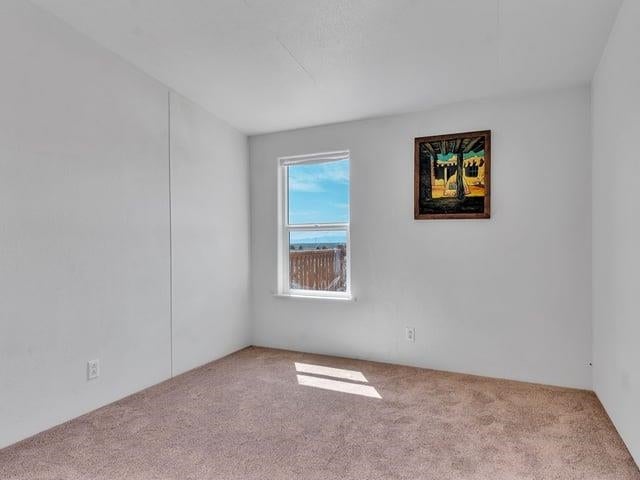 13 Colorado Road Tres Piedras, NM 87577 - Photo 21 of 33