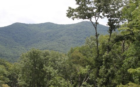 Settlement Road Epworth, GA 30541 - Photo 1 of 1 a view of a mountain range with trees