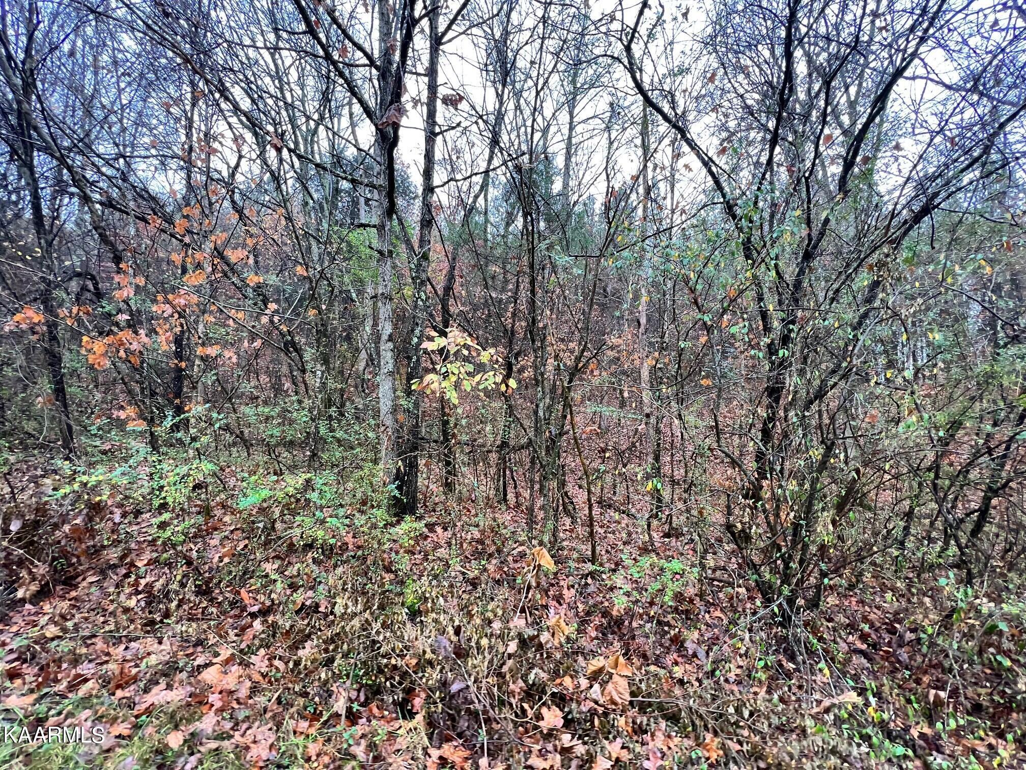 Lot 11 North Rayl Hollow Decatur, TN 37322 - Photo 7 of 7 Sam davis Nnopone6