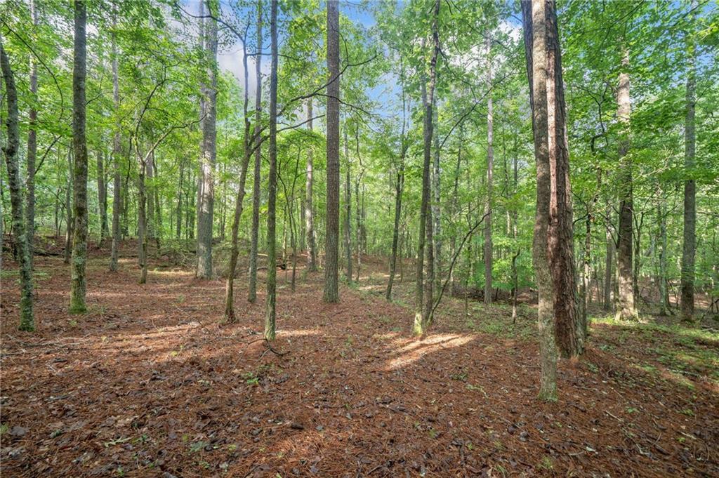 225 Brock Trail Milton, GA 30004 - Photo 13 of 28 a view of outdoor space and green space