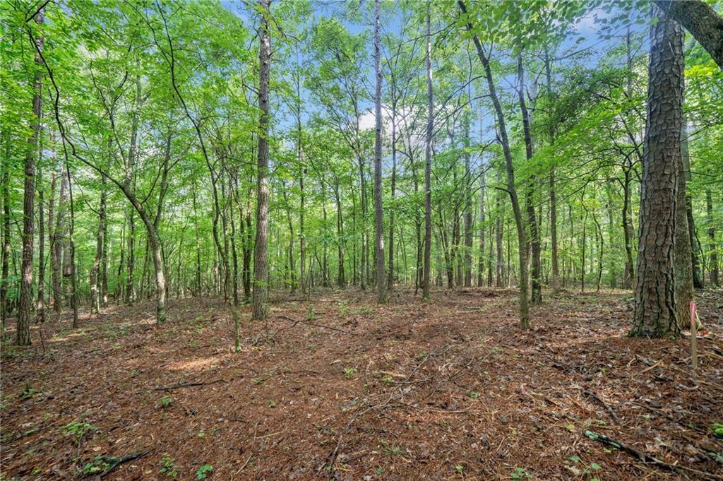 225 Brock Trail Milton, GA 30004 - Photo 14 of 28 a view of outdoor space and green space