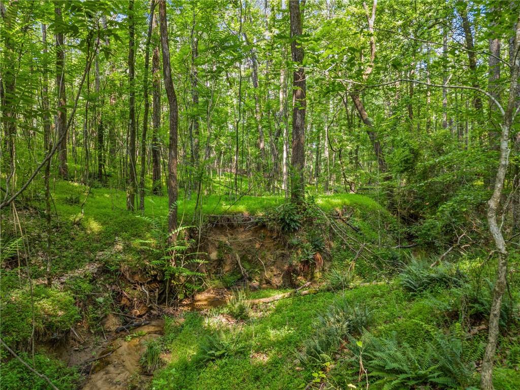 225 Brock Trail Milton, GA 30004 - Photo 19 of 28 a view of a garden