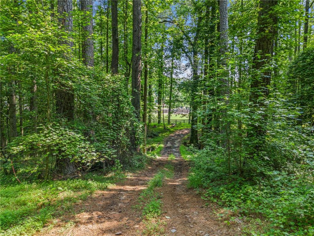 225 Brock Trail Milton, GA 30004 - Photo 23 of 28 a view of a garden