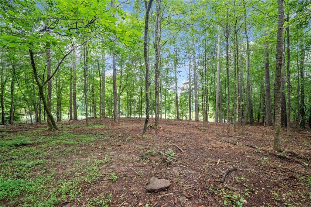 225 Brock Trail Milton, GA 30004 - Photo 10 of 28 a view of outdoor space with trees