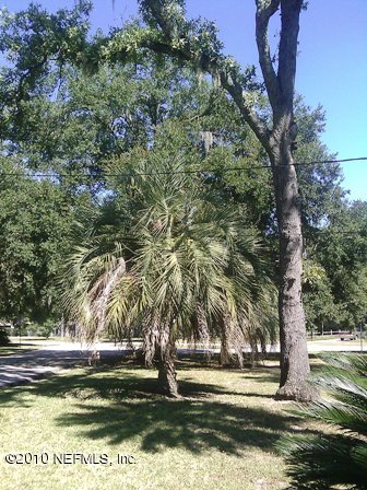 318 Glynlea Road Jacksonville, FL 32216 - Photo 17 of 17 Palm