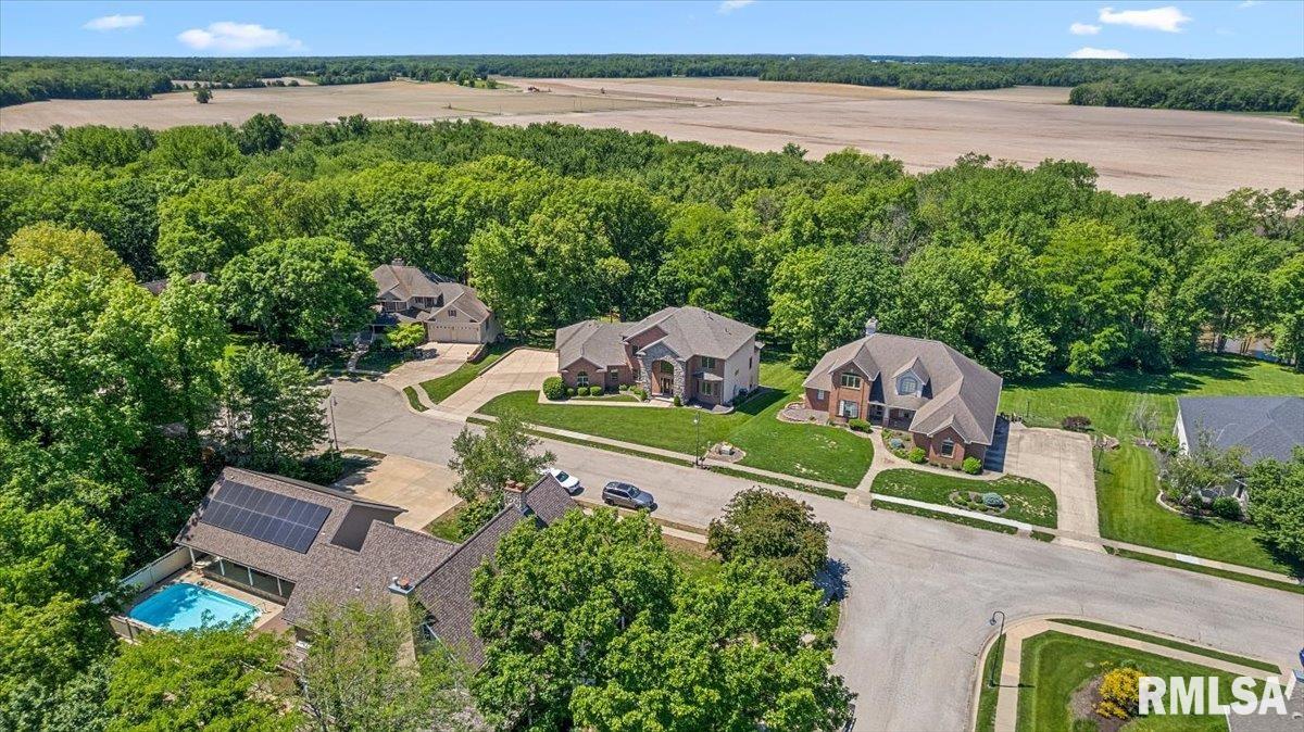 47 Woodland Trail Rochester, IL 62563 - Photo 75 of 96