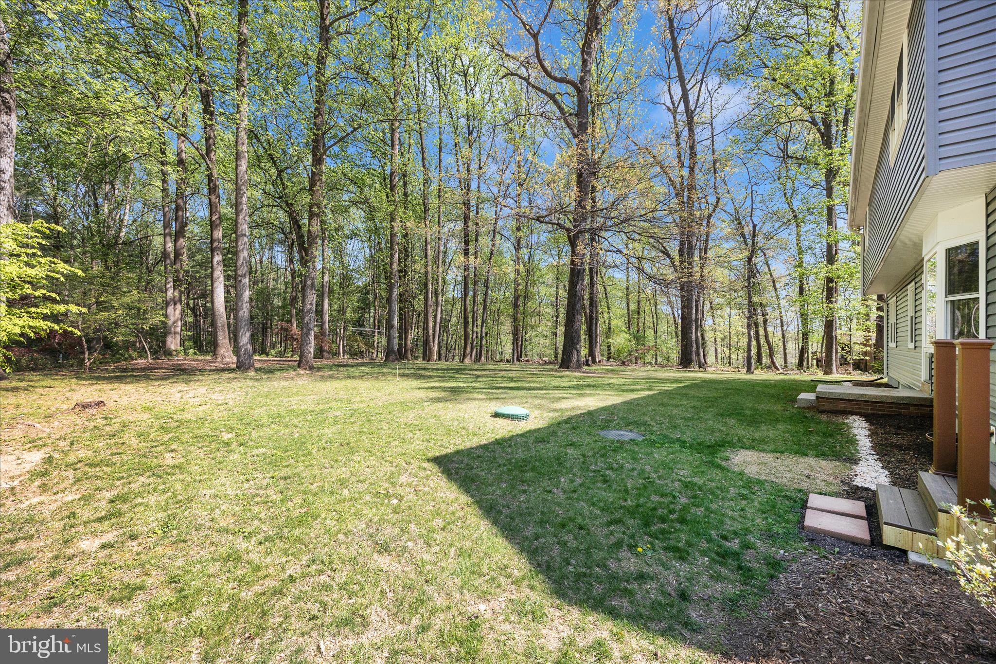 6518 Woodville Road Mount Airy, MD 21771 - Photo 51 of 53 a view of swimming pool with lawn chairs and large trees