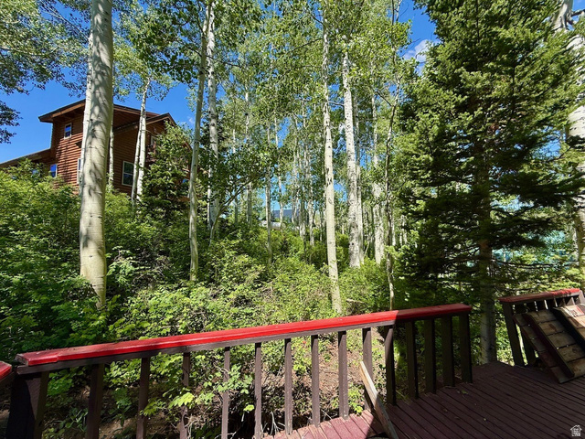 12498 East Wilderness Road Brighton, UT 84121 - Photo 19 of 40 Wood-sided property with multiple windows, set amidst a dense natural landscape of mature deciduous and evergreen trees