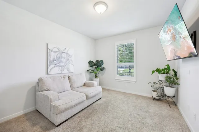 a living room with furniture and a potted plant