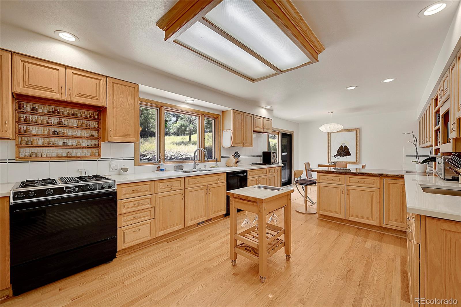 5808 Crestbrook Circle Morrison, CO 80465 - Photo 18 of 49