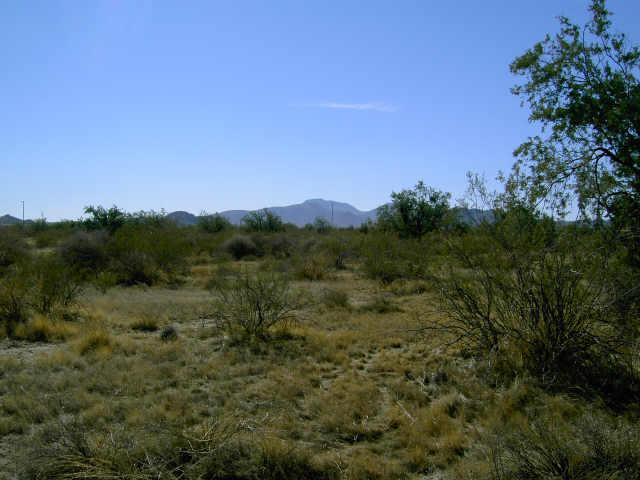 60 West Ventada Road, Unit 60 Maricopa, AZ 85139 - Photo 1 of 5 Primary Photo
