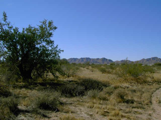 60 West Ventada Road, Unit 60 Maricopa, AZ 85139 - Photo 3 of 5 Additional Photo