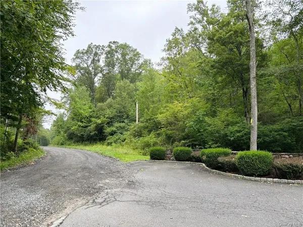 a view of a field with plants and trees