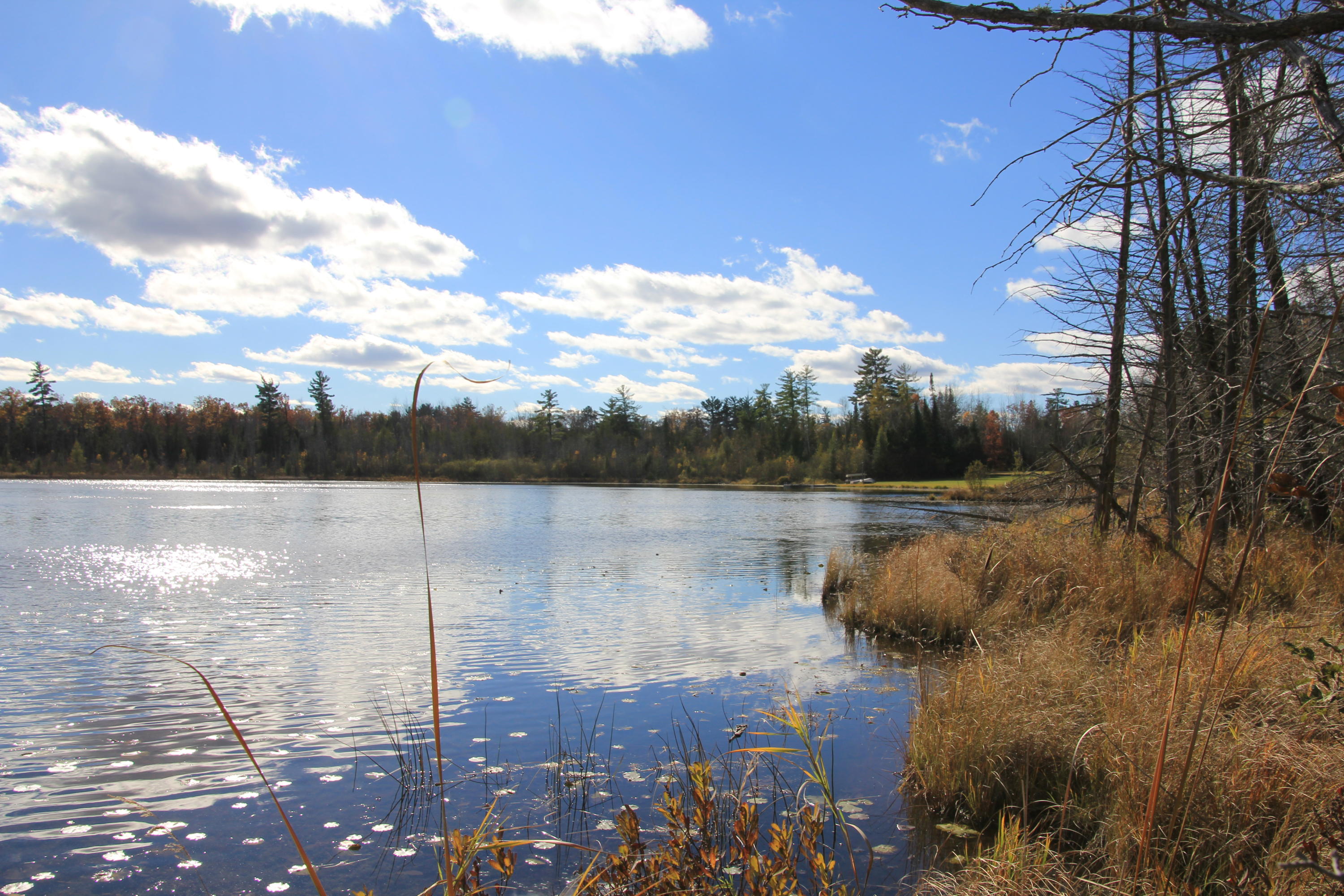 7158 East County Line Road South Branch, MI 48761 - Photo 24 of 39 Gallery Image 24