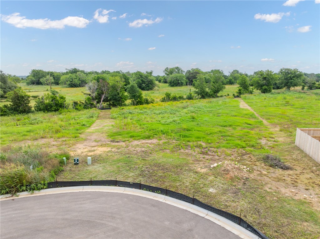 10916 Granada Drive Waco, TX 76708 - Photo 8 of 9 a view of a big yard with potted plants and big trees