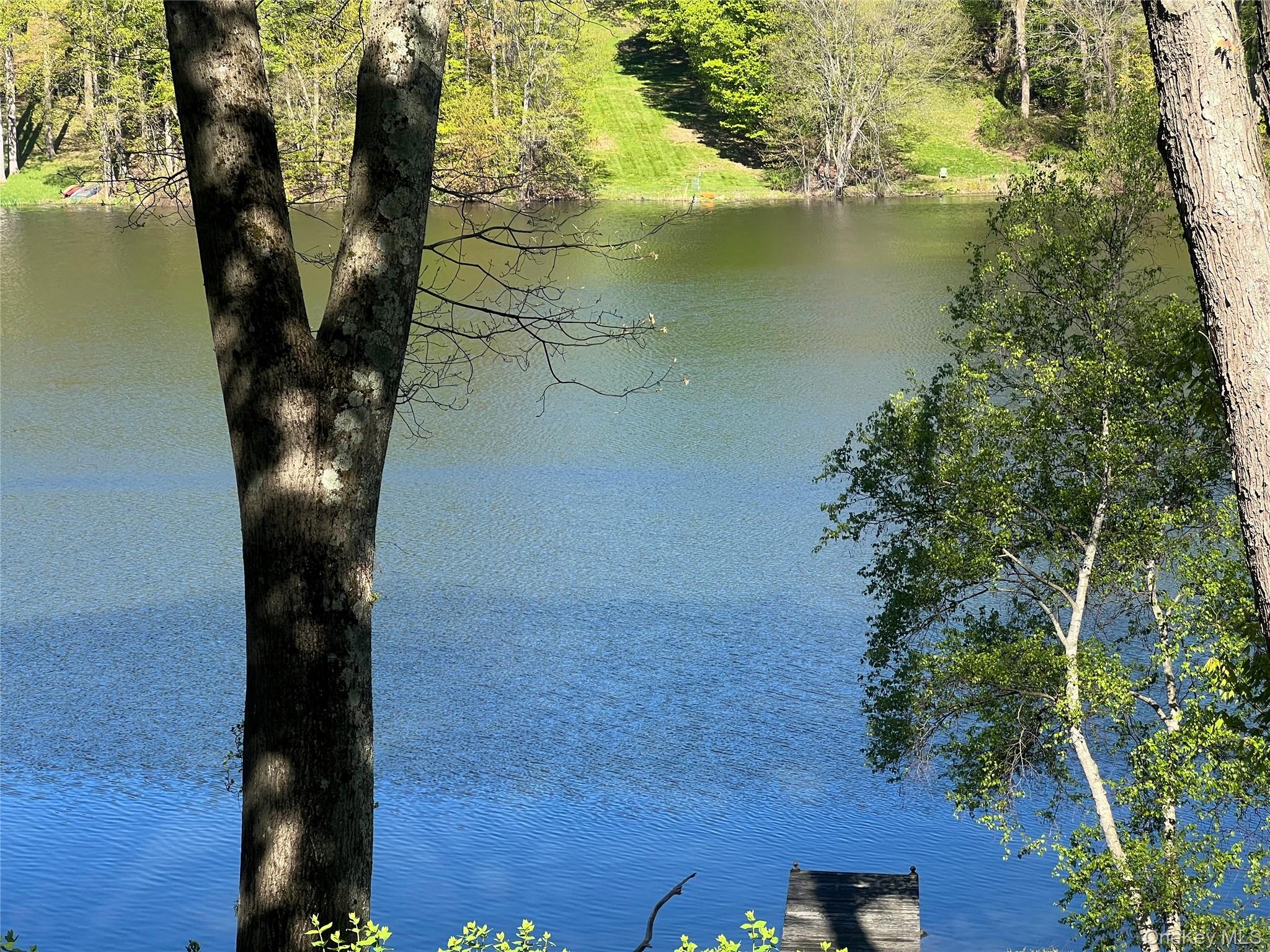 155 Shear Hill Road Mahopac, NY 10541 - Photo 25 of 25