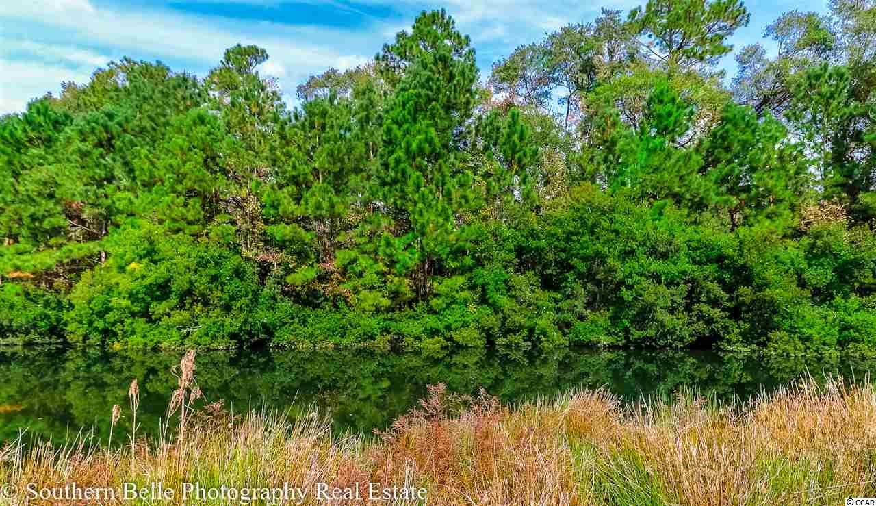 1293 Pine Ridge Street Conway, SC 29527 - Photo 24 of 25 Gallery Image 24