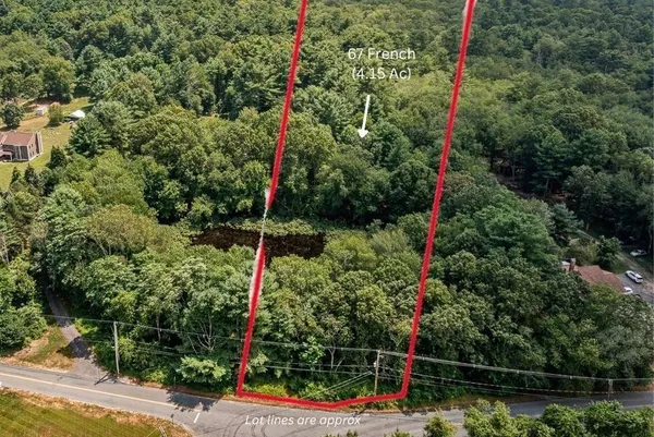 a backyard of a house with lots of green space and plants