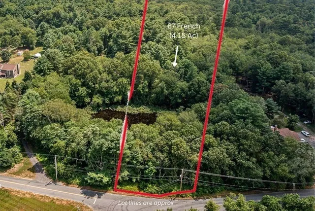 a backyard of a house with lots of green space and plants