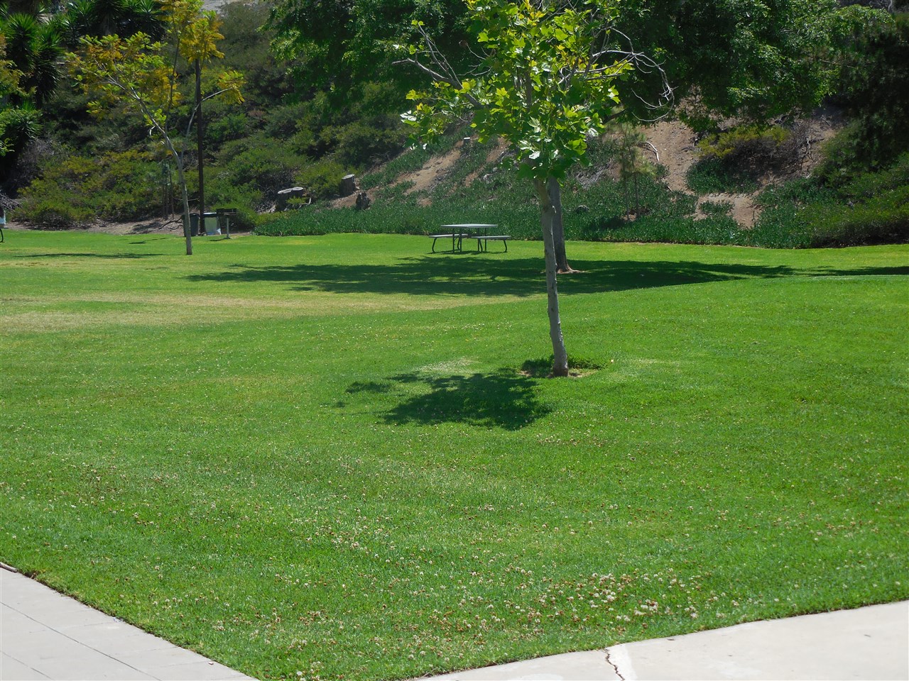 10026 Fieldcrest Street Spring Valley, CA 91977 - Photo 24 of 25 Gallery Image 24