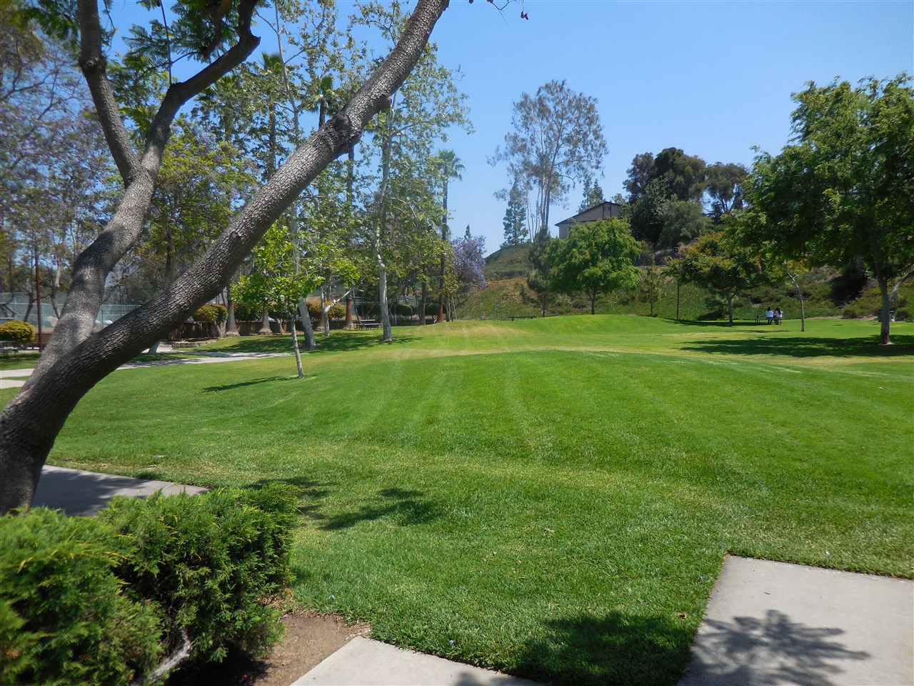 10026 Fieldcrest Street Spring Valley, CA 91977 - Photo 25 of 25 Gallery Image 25
