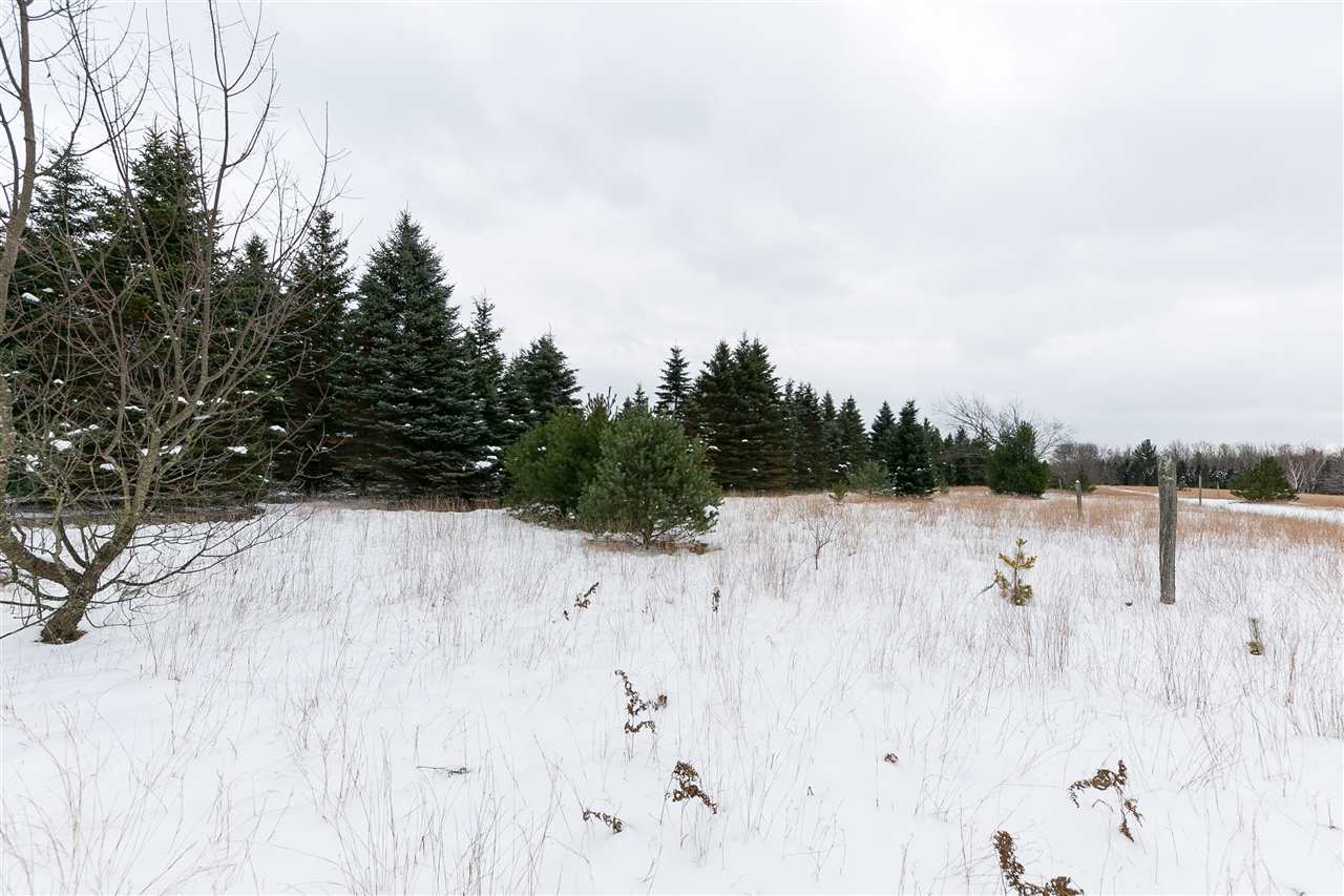 2441 Thomas Road Kalkaska, MI 49646 - Photo 48 of 49 1855213-47.JPG